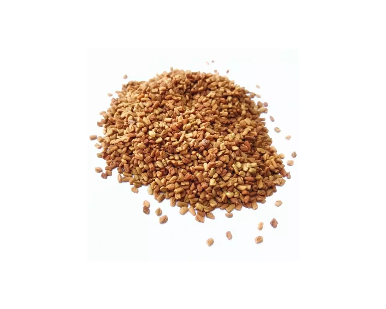 kozieradka_ziarno_luzem kozieradka_ziarno_luzem